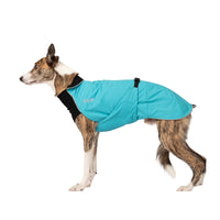 Thumbnail for Alpine Blazer 3-Season Dog Coat