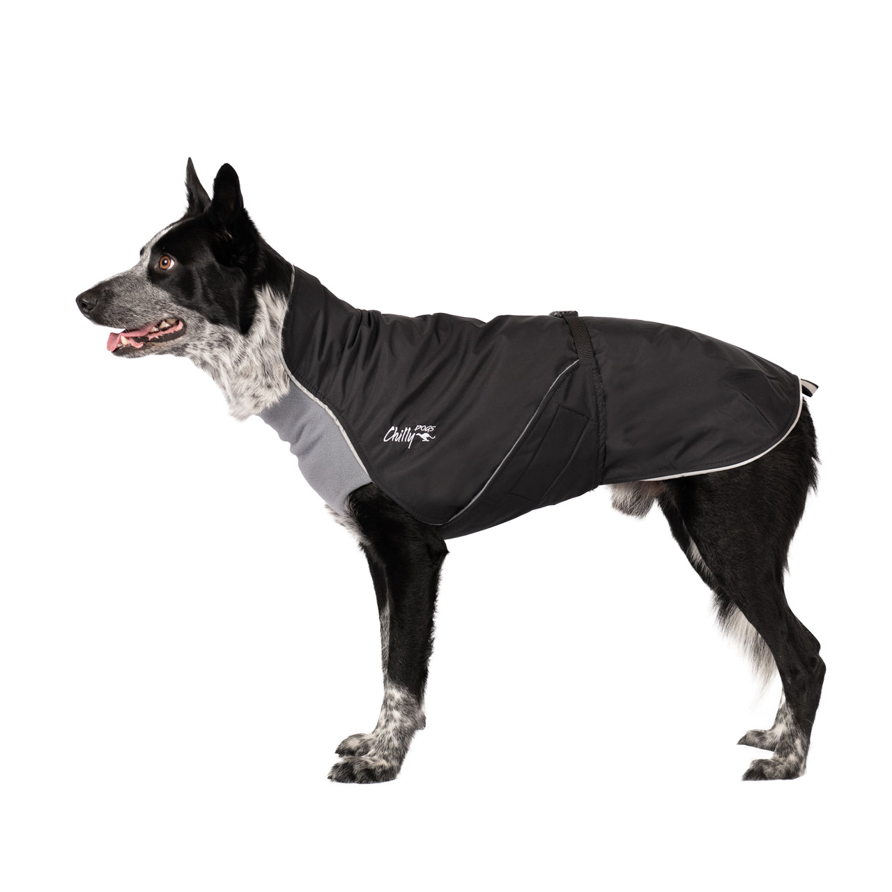 Alpine Blazer 3-Season Dog Coat