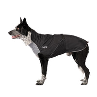 Thumbnail for Alpine Blazer 3-Season Dog Coat