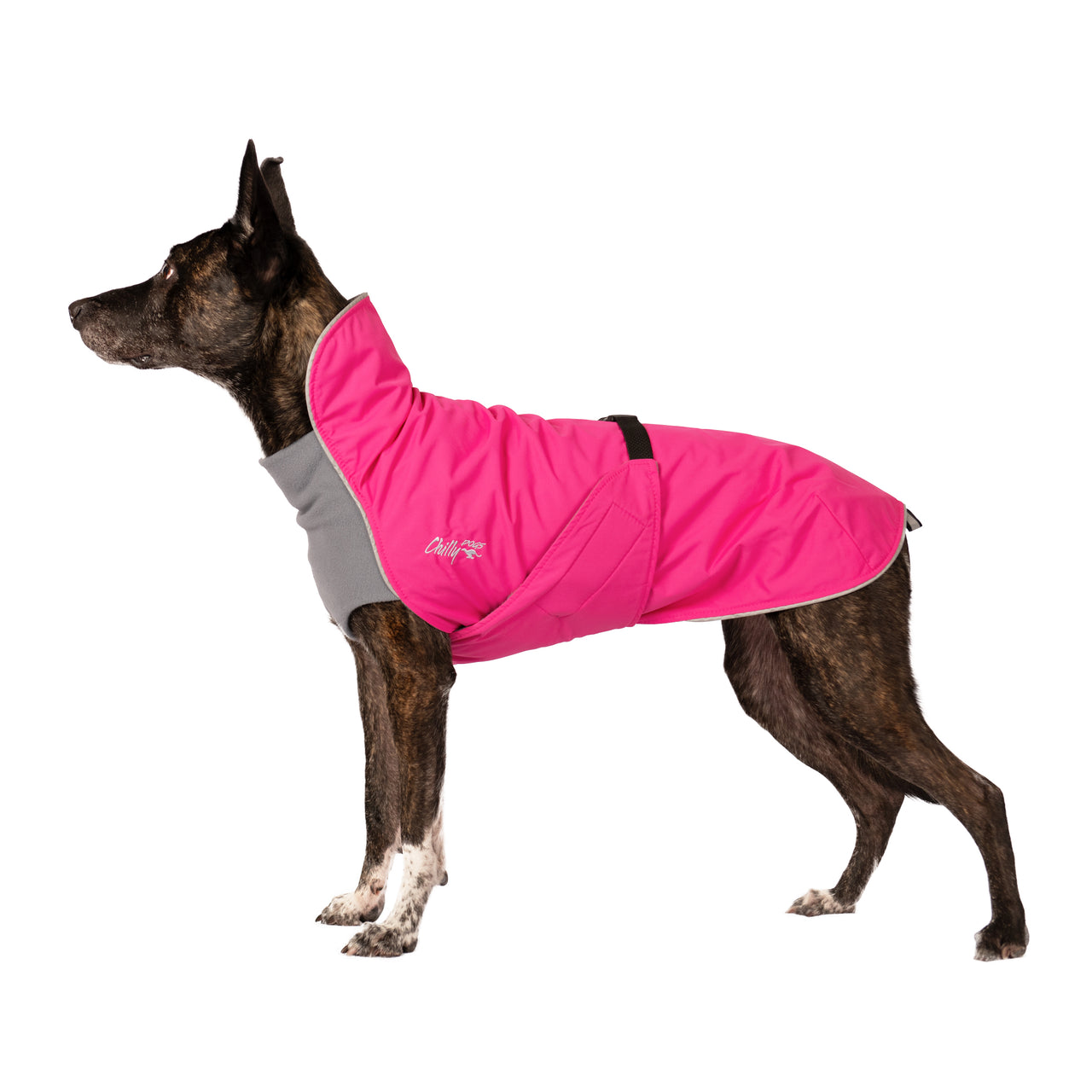 Alpine Blazer 3-Season Dog Coat