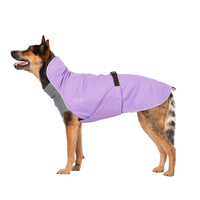 Thumbnail for Alpine Blazer 3-Season Dog Coat