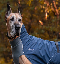 Thumbnail for Alpine Blazer 3-Season Dog Coat