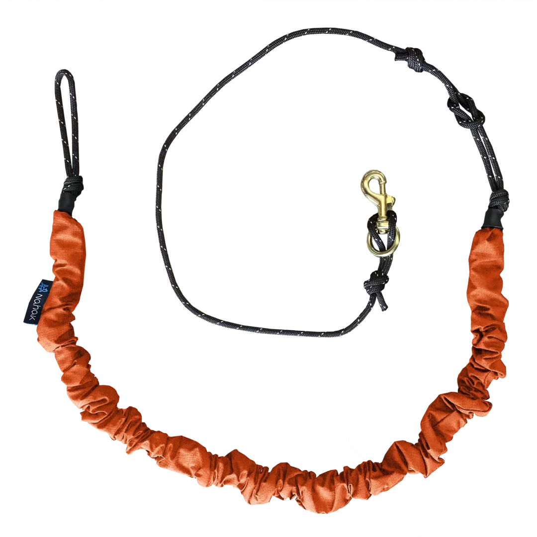 Nahak Bikejoring Bungee Line