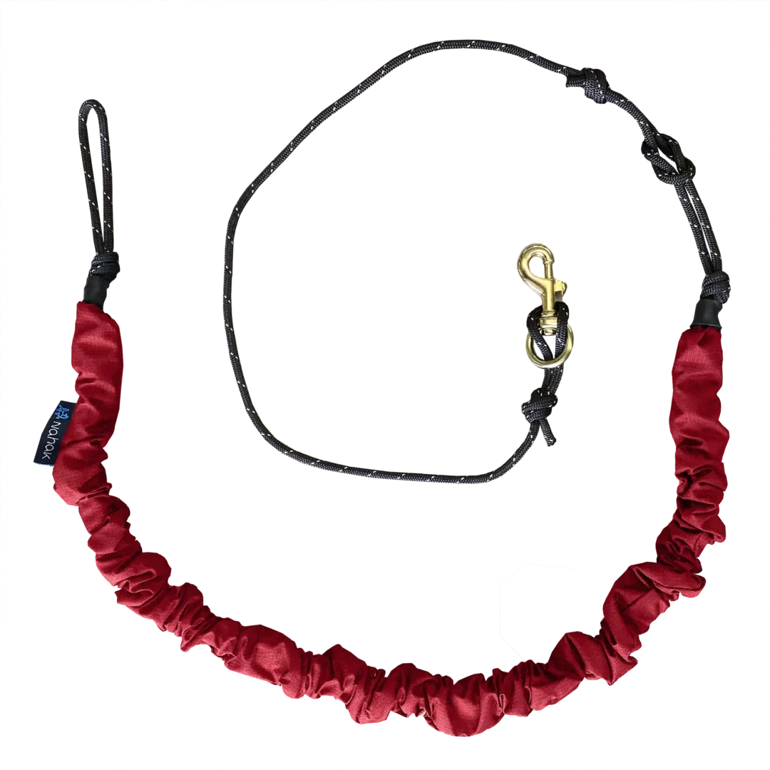 Nahak Bikejoring Bungee Line