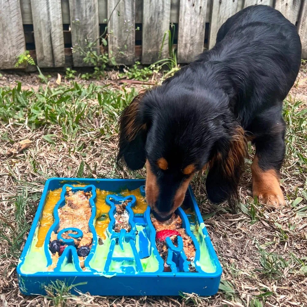 SodaPup ETray Waiting enrichment bowl.