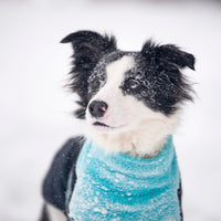 Thumbnail for NikWax Polar Proof is perfect for the Great White North