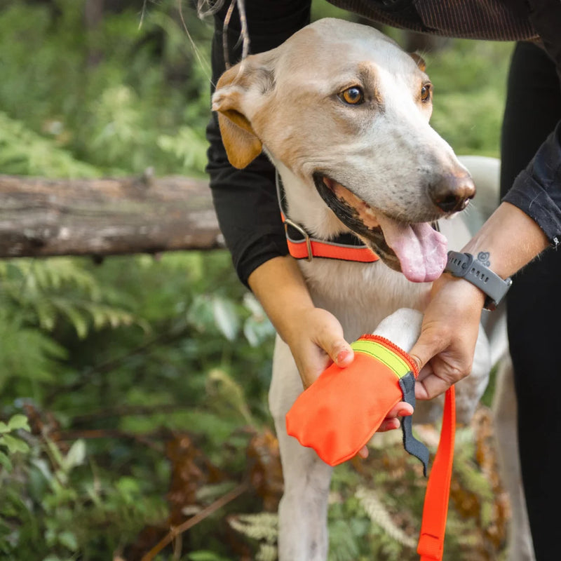 Nahak Dirt Boots — lightweight summer dog boots for trails and hot pavement