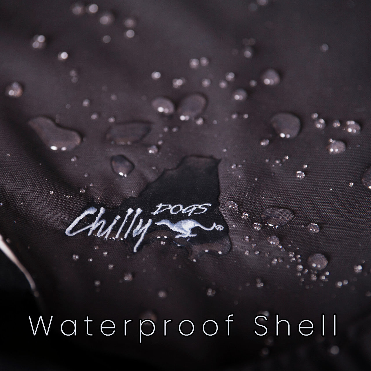 Waterproof dog blanket