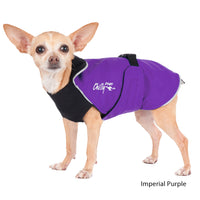 Thumbnail for Chihuahua dog wearing the Chilly Dogs Alpine Blazer in Purple