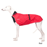 Thumbnail for Galgo dog wearing the Chilly Dogs Alpine Blazer in Red