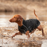 Thumbnail for Vizsla wearing a waterproof Chilly Dogs Harbour Slicker