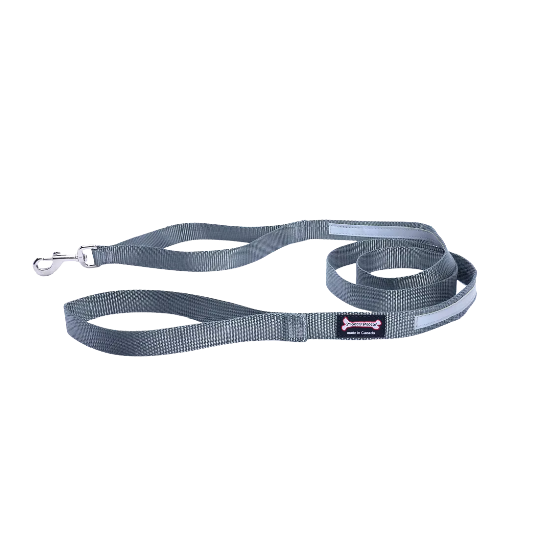 Smooch Poochy Nylon Reflective Leash