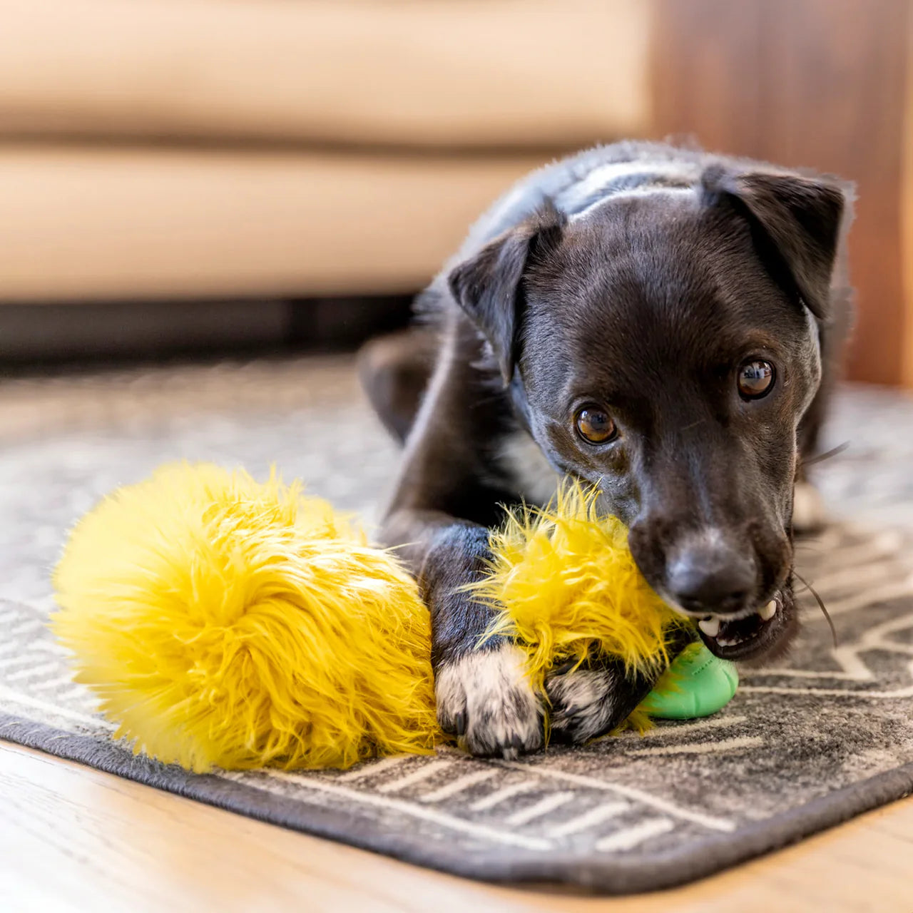 West Paw Rowdies - Astrid