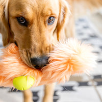 Thumbnail for West Paw Rowdies - Olaf