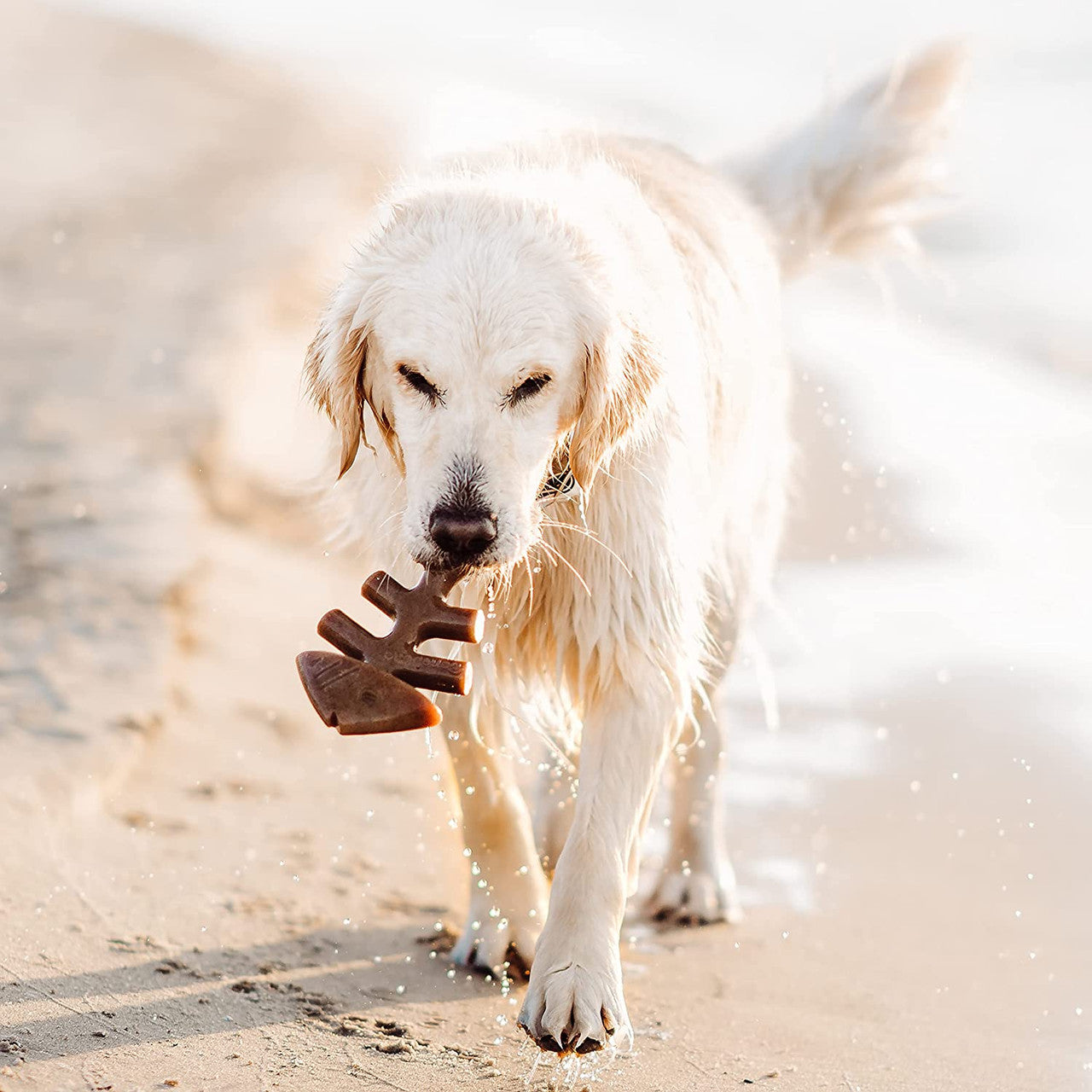 Benebone Fishbone Durable Chew Toy For Dogs Aggressive Chewer