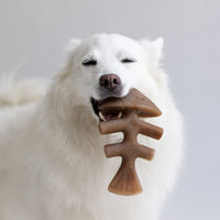 Thumbnail for Benebone Fishbone Durable Chew Toy For Dogs Aggressive Chewer