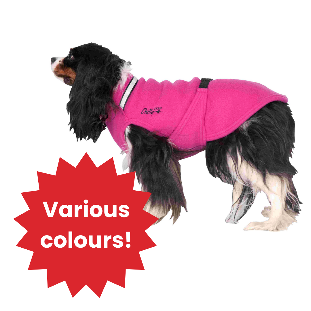 Chilly Sweater - LIGHTLY LOVED