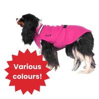 Thumbnail for Chilly Sweater - LIGHTLY LOVED