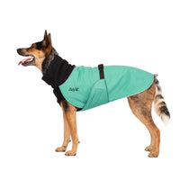 Thumbnail for Great White North Winter Dog Coat