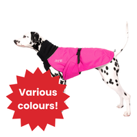 Thumbnail for Great White North Broad & Burly - LIGHTLY LOVED