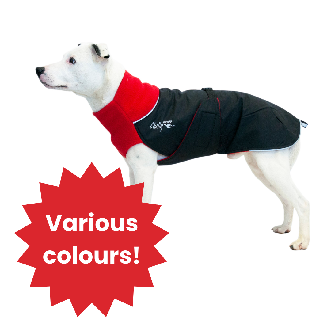 Great White North Standard Sizing - LIGHTLY LOVED