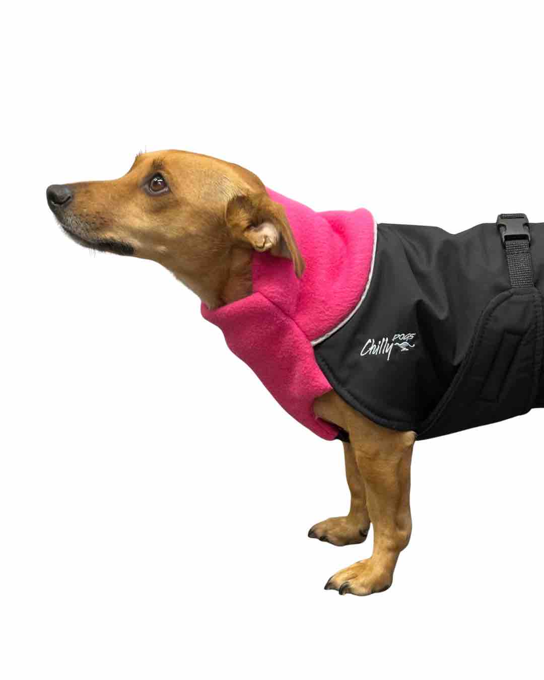 Great White North Winter Dog Coat