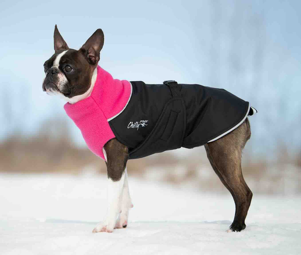Great White North Winter Dog Coat