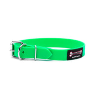 Thumbnail for Apple Green Polyvinyl dog collar with roller buckle and metal D-ring