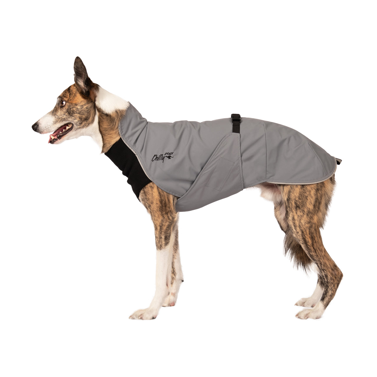 Harbour Slicker Dog Rain Coat