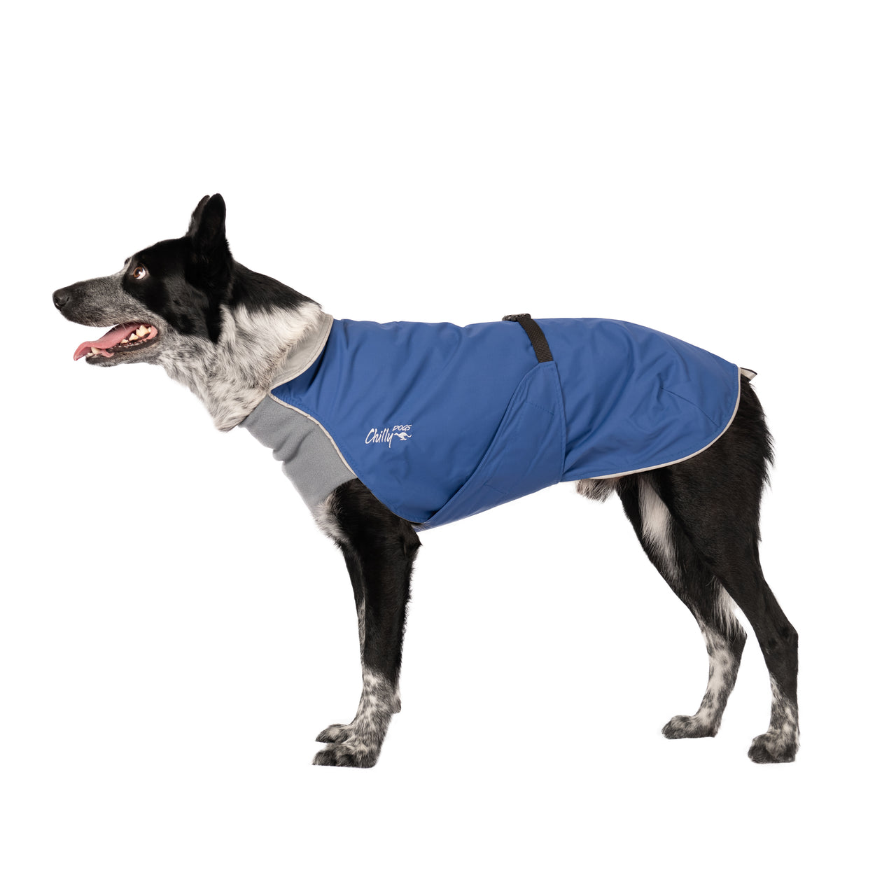 Harbour Slicker Dog Rain Coat