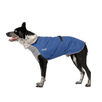 Thumbnail for Harbour Slicker Dog Rain Coat