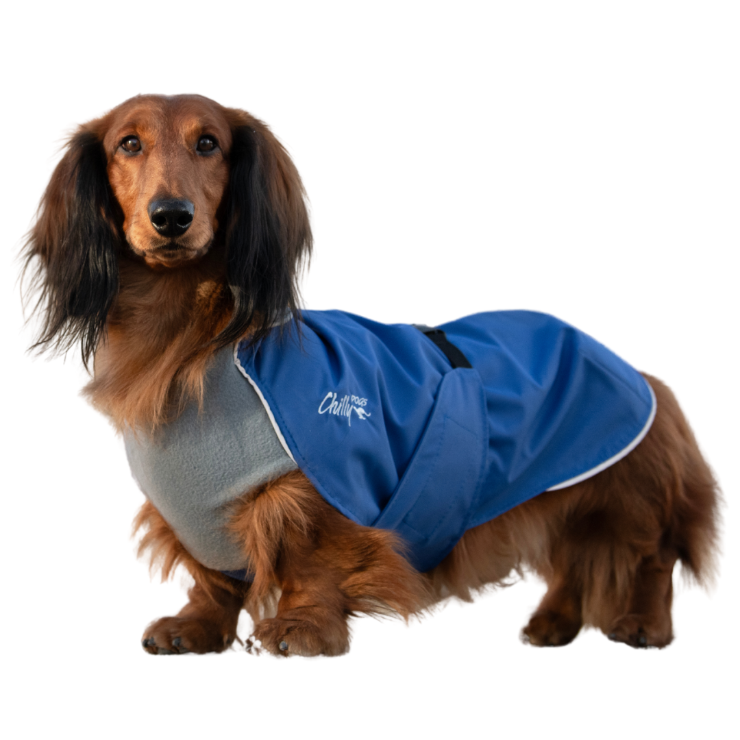 Harbour Slicker Dog Rain Coat - Long & Lean