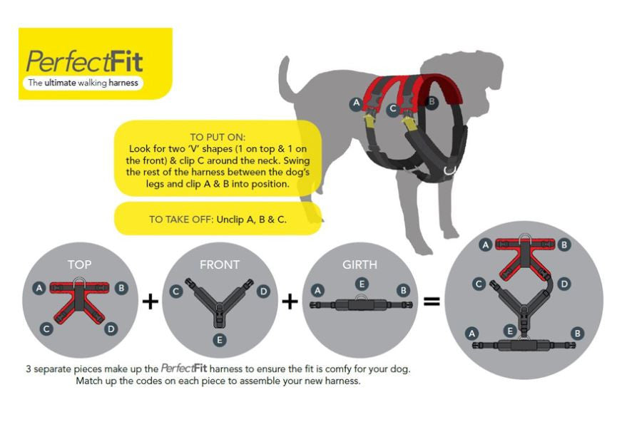 Diagram showing how to assemble the Perfect Fit Harness.