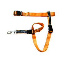 Thumbnail for JWalker Utility Belt - Multi-purpose leash