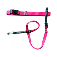 Thumbnail for JWalker Utility Belt - Multi-purpose leash