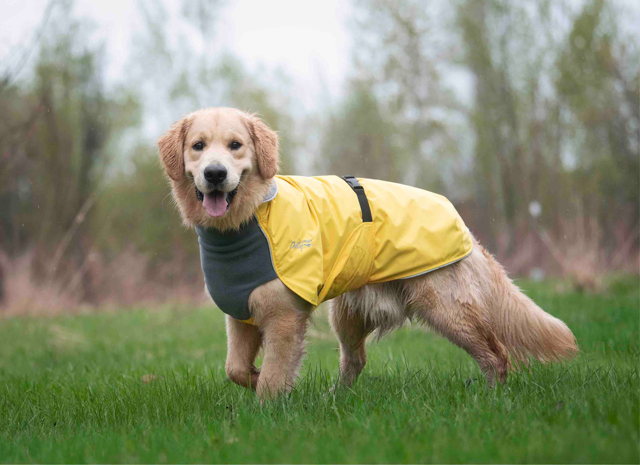 Harbour Slicker Dog Rain Coat – Chilly Dogs Inc