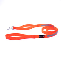Thumbnail for Smoochy Poochy Nylon Reflective Leash 6ft