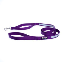 Thumbnail for Smoochy Poochy Nylon Reflective Leash 6ft
