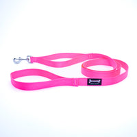 Thumbnail for Smoochy Poochy Nylon Regular Style Leash 1