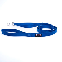 Thumbnail for Smoochy Poochy Nylon Regular Style Leash 1