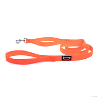 Thumbnail for Smoochy Poochy Nylon Regular Style Leash 1