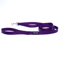 Thumbnail for Smoochy Poochy Nylon Regular Style Leash 1