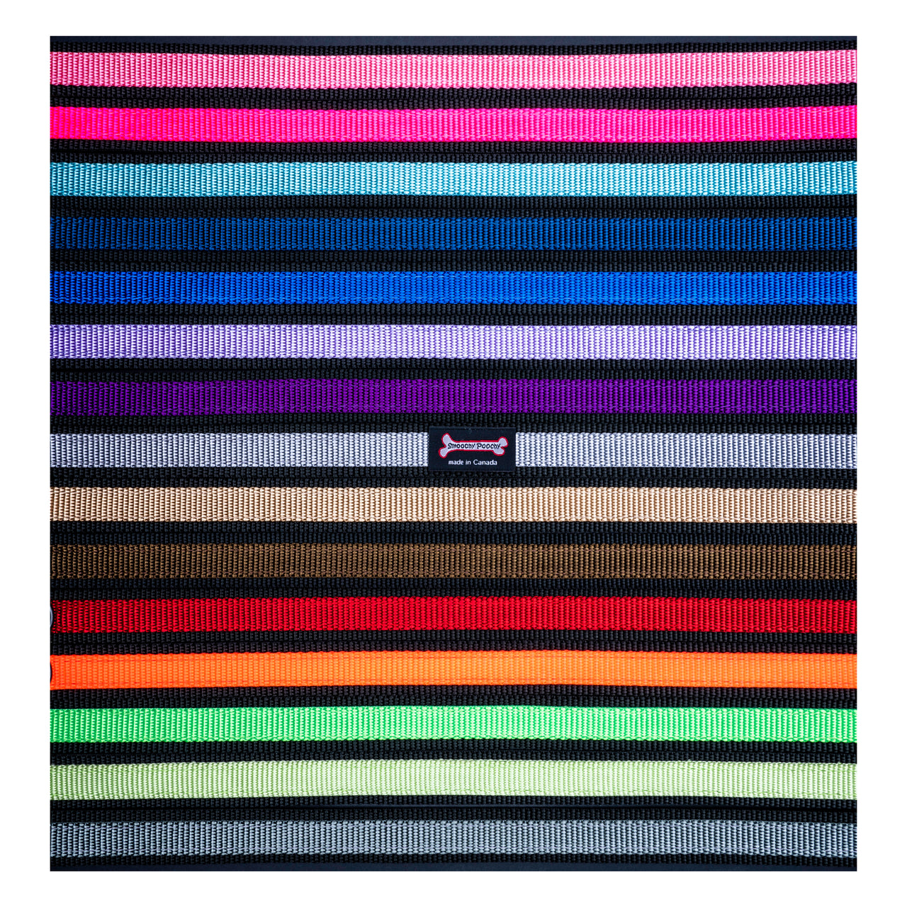 Smoochy Poochy 2tone Regular Leash - 6ft