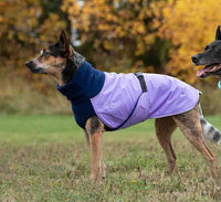 Thumbnail for Great White North Standard Sizing - LIGHTLY LOVED