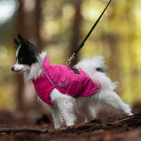 Thumbnail for Northern Blazer with Harness Hole
