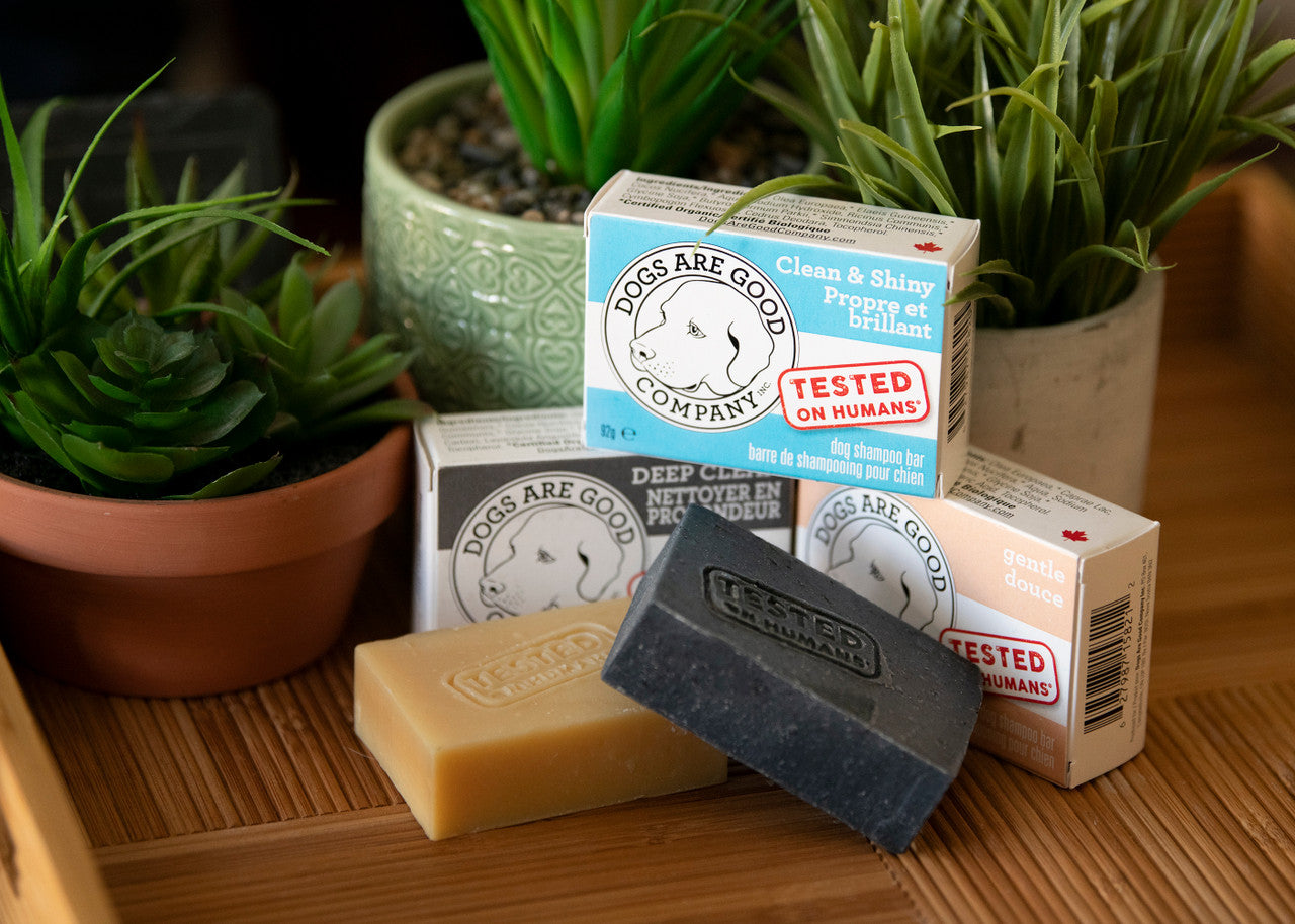 Dogs Are Good Company - Soap For Dogs