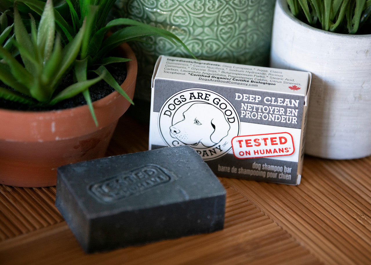 Dogs Are Good Company - Soap For Dogs