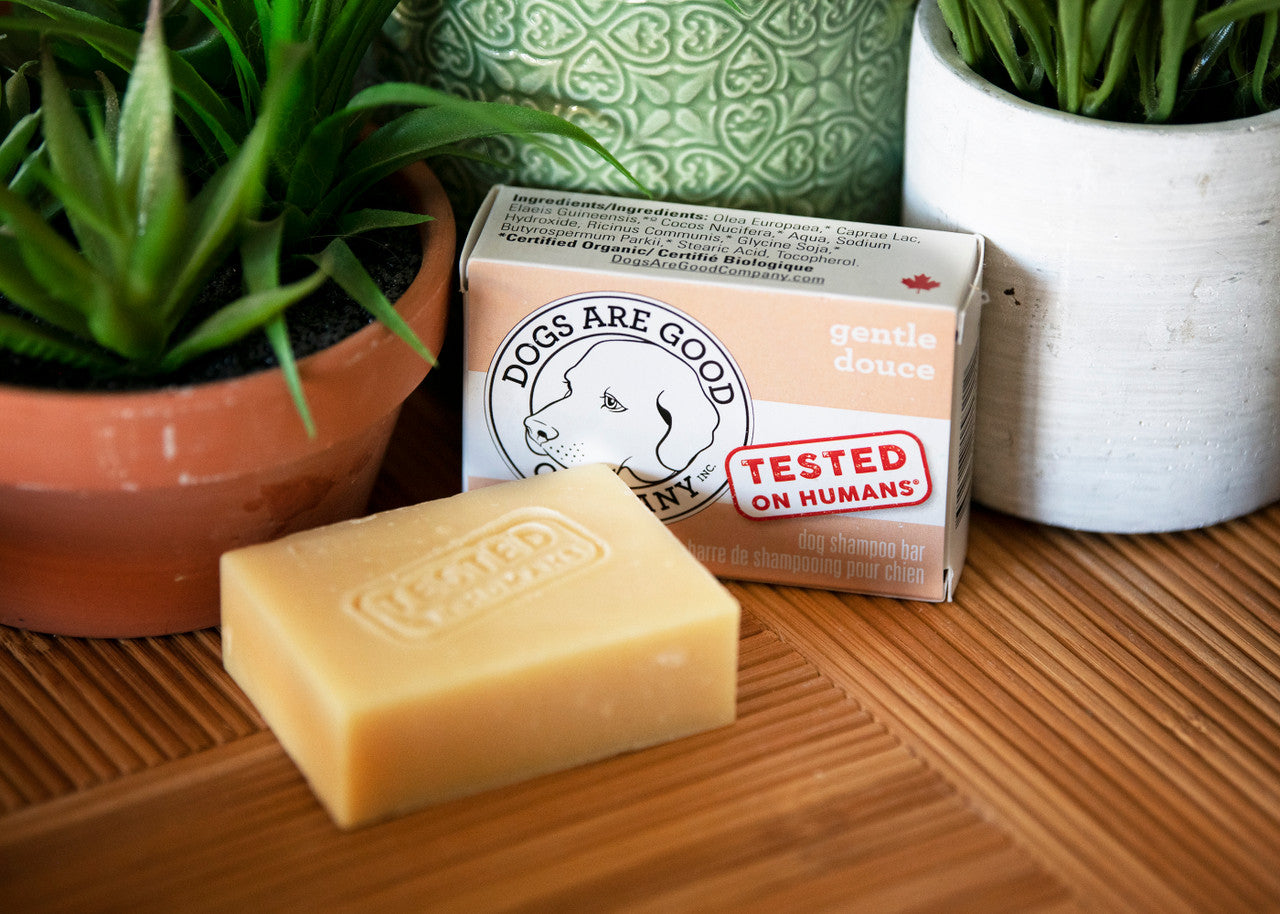 Dogs Are Good Company - Soap For Dogs