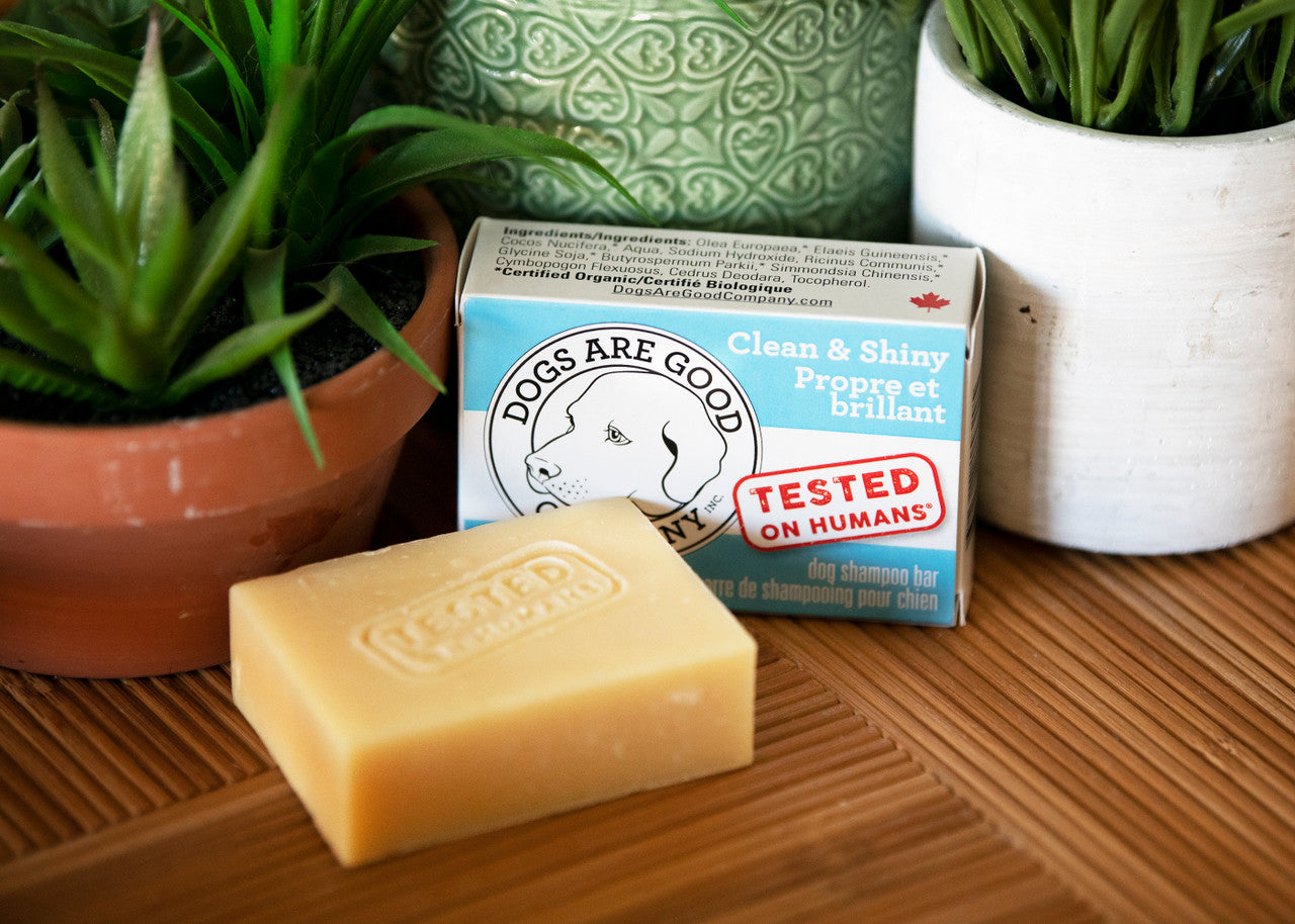 Dogs Are Good Company - Soap For Dogs