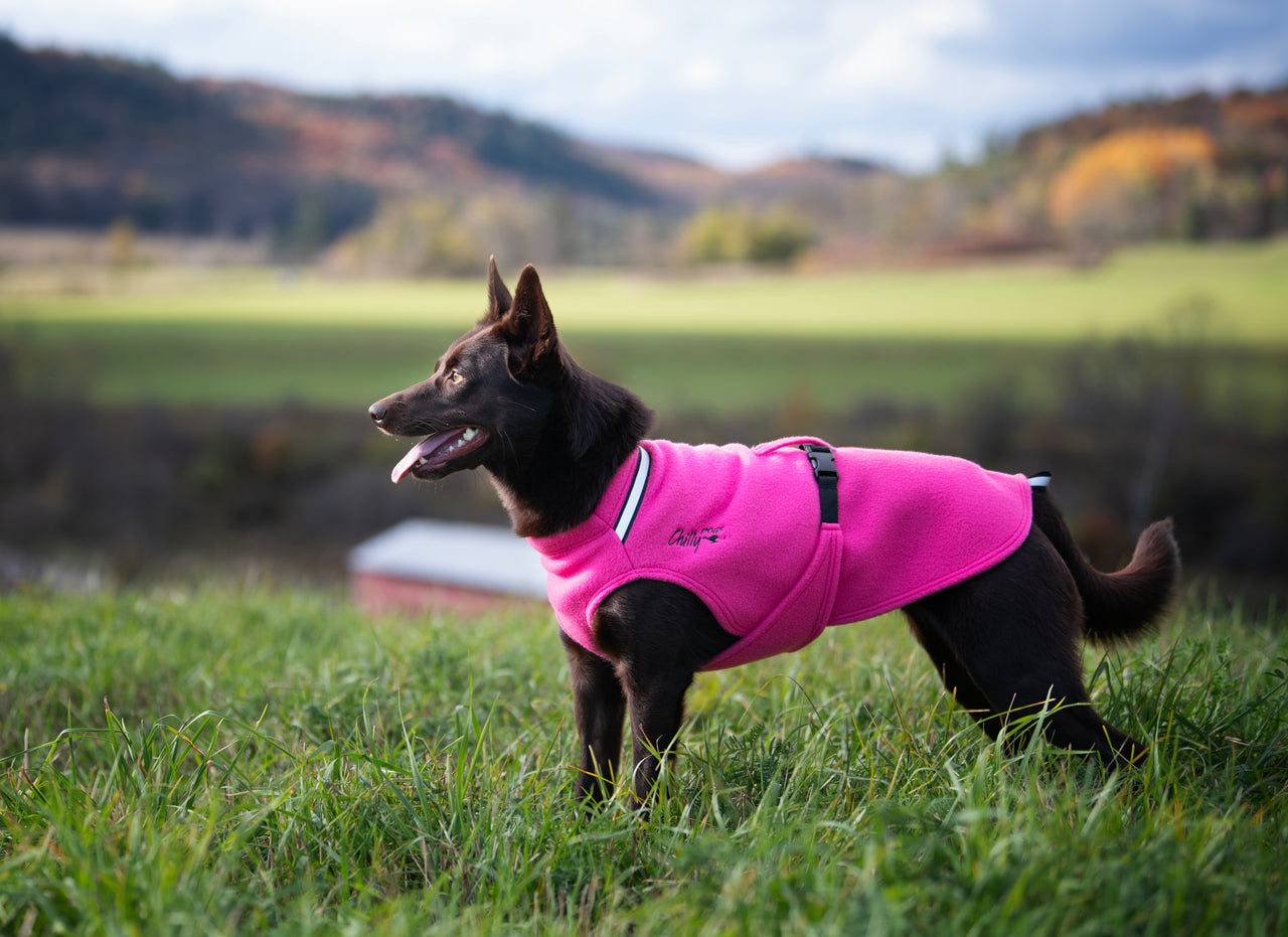 Chilly Dogs Fleece Sweater - TAIL-END SALE